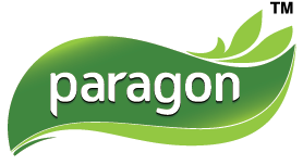 Paragon Agro Ltd